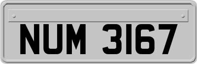 NUM3167