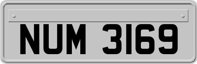 NUM3169