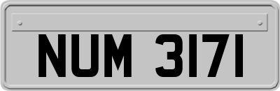 NUM3171