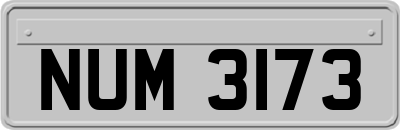 NUM3173