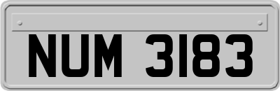 NUM3183
