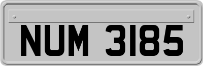 NUM3185