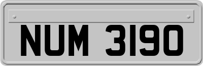 NUM3190