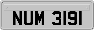 NUM3191