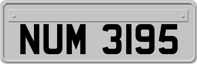 NUM3195