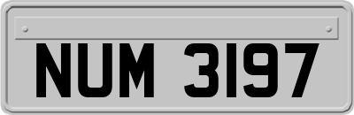 NUM3197