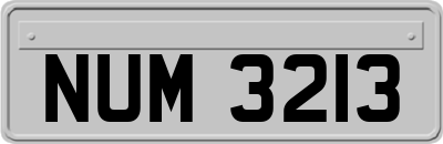 NUM3213
