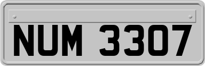 NUM3307