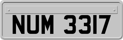 NUM3317