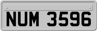 NUM3596