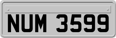 NUM3599