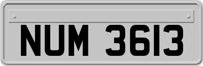NUM3613