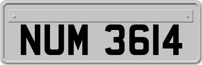 NUM3614