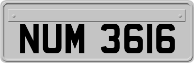 NUM3616