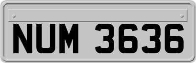 NUM3636