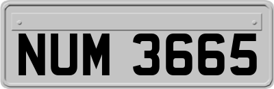 NUM3665