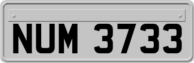 NUM3733