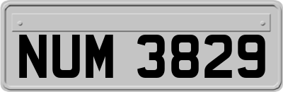 NUM3829
