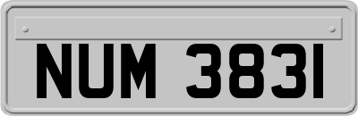 NUM3831