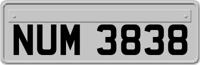 NUM3838