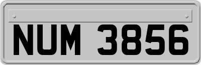 NUM3856