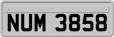 NUM3858