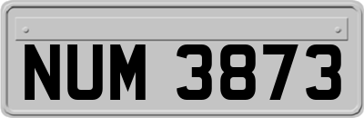 NUM3873