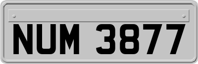 NUM3877