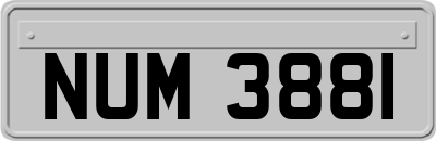 NUM3881