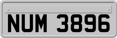 NUM3896