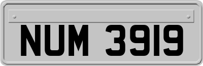 NUM3919