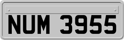 NUM3955