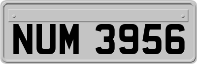 NUM3956