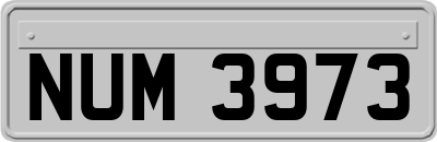NUM3973