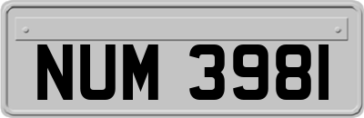 NUM3981