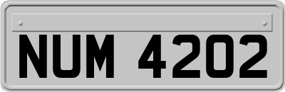 NUM4202