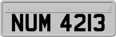NUM4213