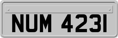 NUM4231