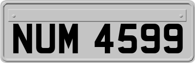 NUM4599