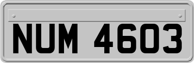 NUM4603