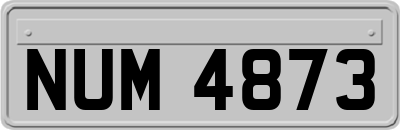 NUM4873