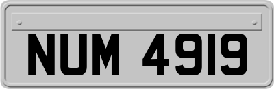 NUM4919