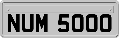 NUM5000