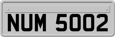 NUM5002
