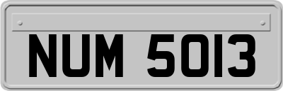 NUM5013