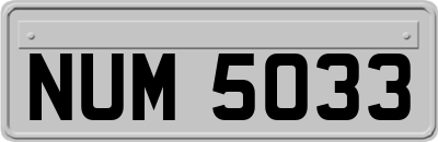 NUM5033