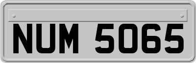 NUM5065