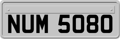 NUM5080