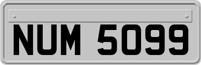 NUM5099