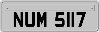 NUM5117